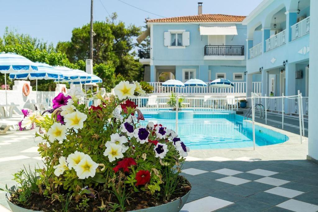 Anna'S Studios & Apartments Kota Zakynthos Bagian luar foto